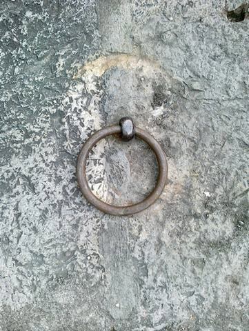 Rhuith : Manes Falsimonia Rhuith : Manes Falsimonia